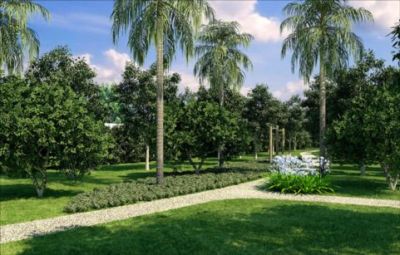 Plaza Mayor Ipiranga - Aptos de 142 m² á 406 m² - 4 dormts - 2 á 4 suítes - pronto para morar !!!!