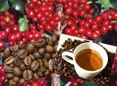 Café 