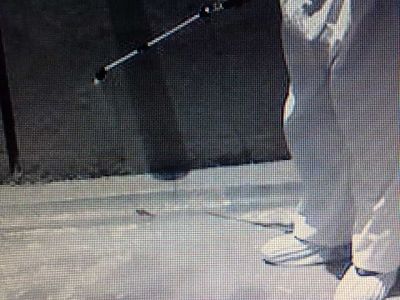 dedetizadora 11 2303-5217 ,7303-3441