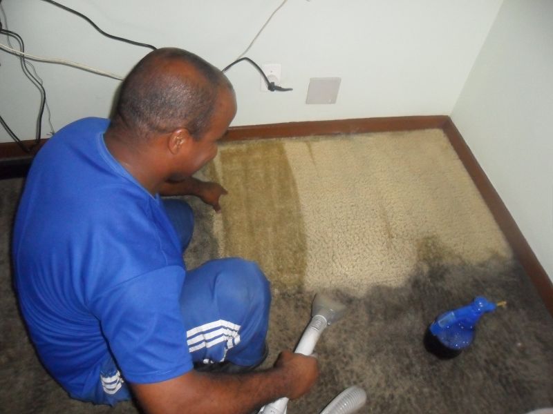 Limpeza de sofá,carpetes e bancos de carro