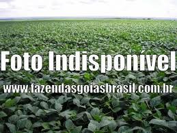 FAZENDAS A VENDA EM CRISTALINA-GO