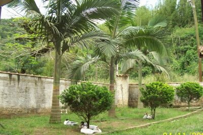 CHÁCARA  VENDE-SE  LITORAL PAULISTA  