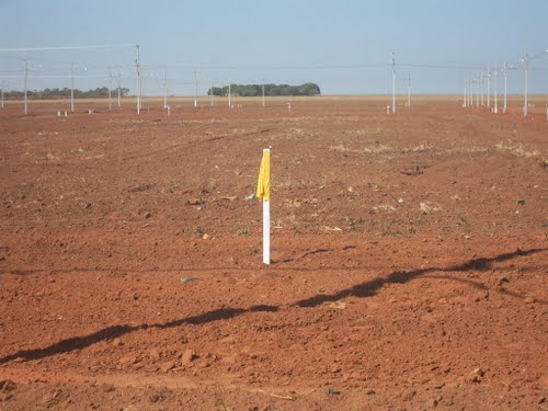 Terreno em nova mutum MT. ligue (65)99212503