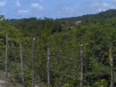VENDO TERRENO PRAIA DA PIPA