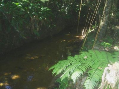 OFERTA, R$ 60.000,00 + PARCELAS. TOTALMENTE PLANA - COD: 434 - F: (11) 4686-1562 - CEL: (11) 7302-92