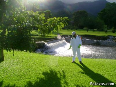 Imuni Astro Dedetização Angra -Paraty  (24) 3369-2713