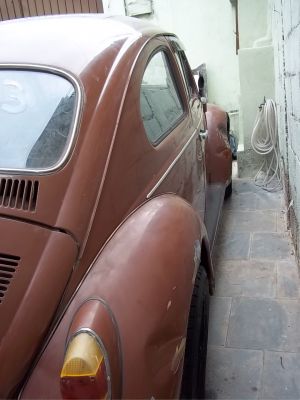 fusca