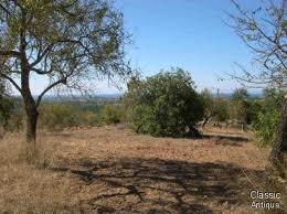 AREAS A VENDA EM CORURIPE MELHOR PREÇO