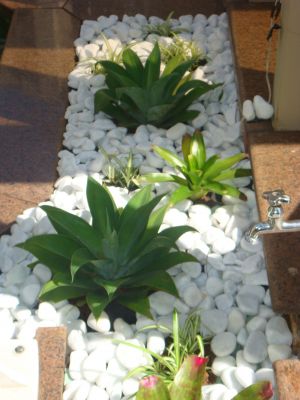 Paisagismo e Jardinagem 