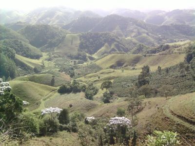 Vendemos Ótimo Terreno com em Vargem Alta com 6 nascentes de água doce.