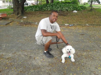 Adestramento inteligente de cães ( sem castigo)