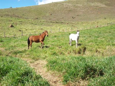 TERRENO COND.ENSEADA - VISTA REPRESA JOÃO PENIDO