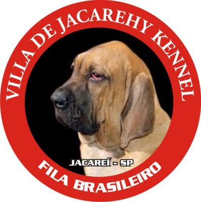 Fila Brasileiro - Pedigree CBKC/FCI
