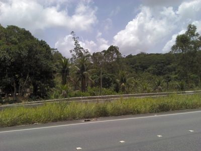 10 hectares em Pernambuco - Margem da BR 101