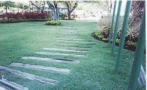 Jardinagem Profissional - DOM JARDIM