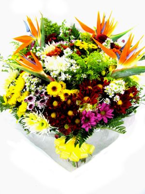 Contagem MG Flores em Contagem rosas Floriculturas Contagem Entrega De Flores Contagem MG Flores