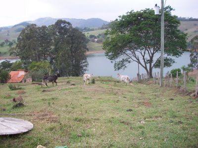 JÁ PENSOU EM COMPRAR UM TERRENO FRENTE À REPRESA DE PIRACAIA??