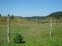 Fazenda 163 alqueires