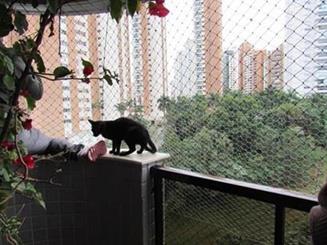 Redes de Proteção em Santa Cecilia, (11)   98391-0505, zap 