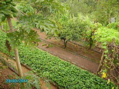 CHÁCARA COM 7.000 M² - SÃO LOURENÇO DA SERRA - SP - F: (11) 4686-1562 - CEL: (11) 7302-9229  