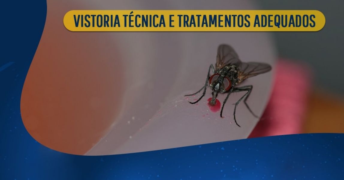 Desratizadora 24 Horas especializada no extermínio de roedores em geral
