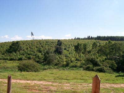 Sítio em Atibaia moradia ou lazer 30.000m² R$ 650 mil set.11