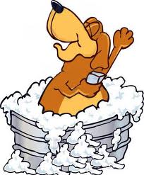 CURSO DE TOSA E BANHO EM RECIFE -PE