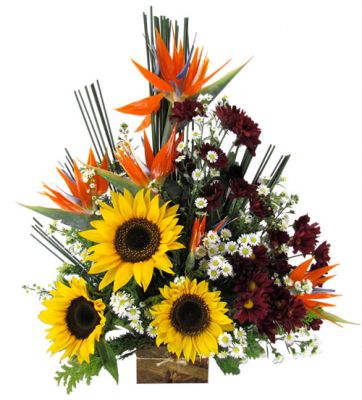 Floriculturas, Flora, Flores, Arranjos e Cestas em  Belo Horizonte MG, Cesta de flores entregas BH