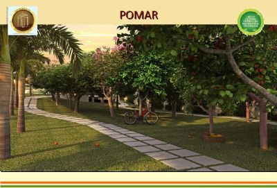 Apartamento de 2 e 3 Dormitorio