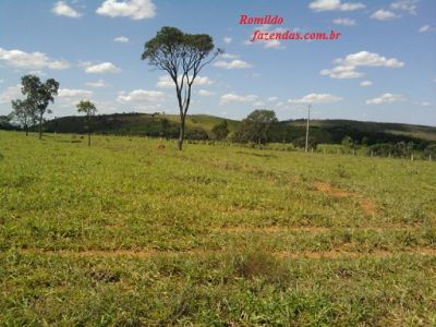 FAZENDA EM PARAOPEBA -162 HA.