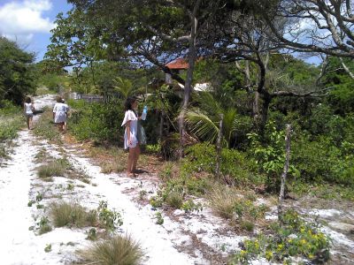 VENDO TERRENO PRAIA DE SAGI - BAIA FORMOSA