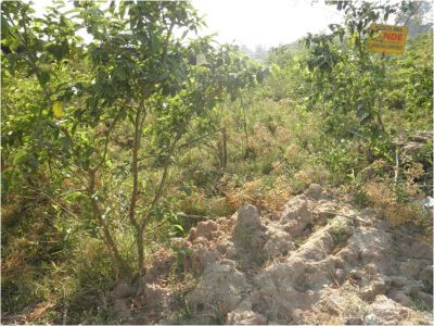 TERRENO 10X33 LAMBARI SP $20,000mil 