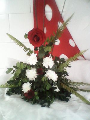 FESTAS INFANTIL EM SALVADOR E LAURO DE FREITAS