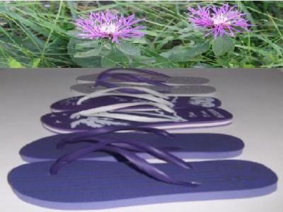 Chinelos Personalizados BH