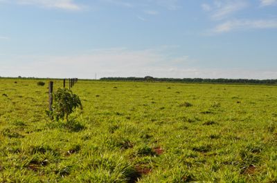 EXCELENTE ÁREA EM PLANALTINA-DF COM 84,29,58 há.