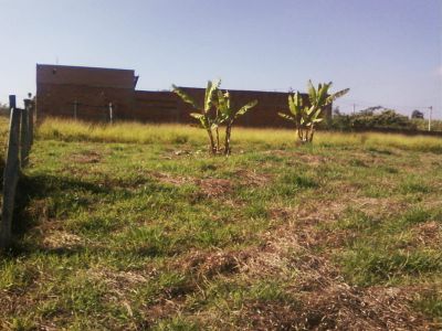 TERRENO CIDADE SALTINHO