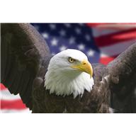 TRADUÇÕES. - LIVROS, ARTIGOS, MANUAIS, ABSTRACT...