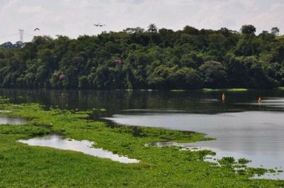 Fazenda de 52 Alqueires Paulista, em Tanquã - São Pedro-SP