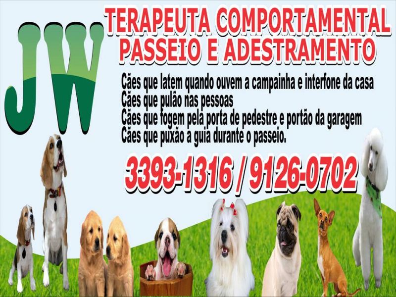 Terapeuta Comportamental  De  Cães