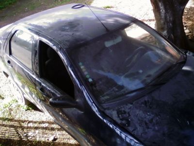 SIENA FIRES FLEX 1.0- BATIDO SOMENTE LATA NA FRENTE