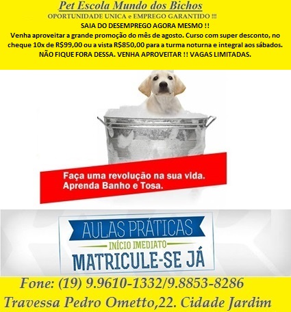 Pet Escola Mundo dos Bichos