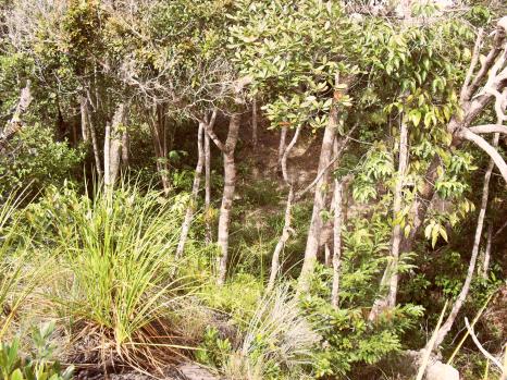 Fazenda em Porto Seguro/Ba