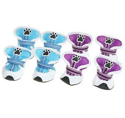 Tênis e Botinhas para Cães e Gatos 