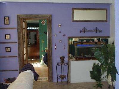 Oportunidade para investidor