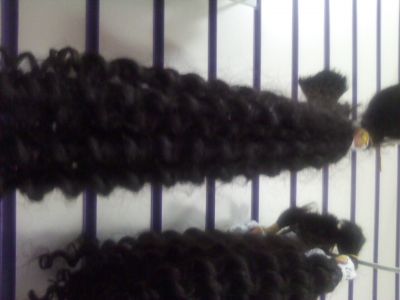 Venda de cabelo humano em Nova Iguaçu