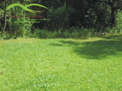 Chácara c/ água corrente