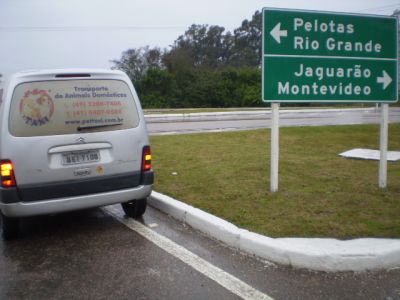 Pettaxi - Taxi-dog - Transporte Caes - Cachorros