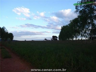 Fazenda em bocaiuva 2.167 há a 366 km de Belo Horizonte