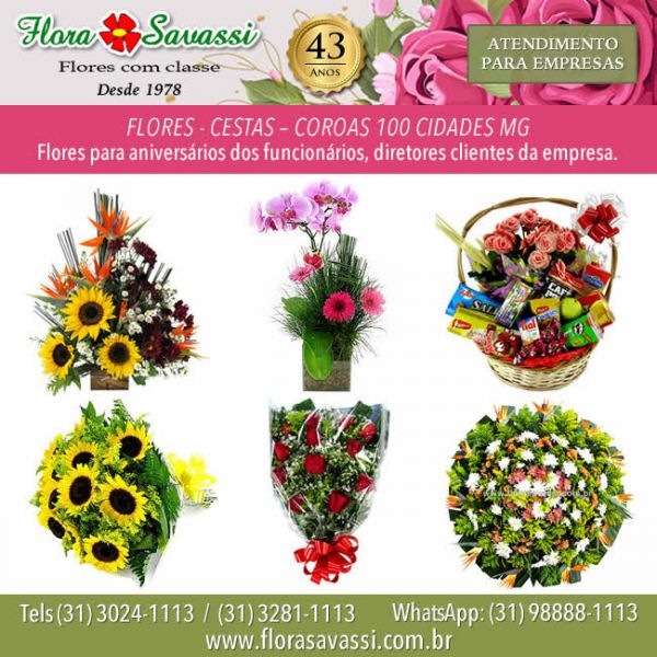 Contagem Flores online Contagem Floricultura flora  flores  presente orquídea em Contagem MG