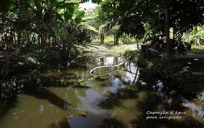 Excelente Chácara á Venda em Macaíba